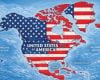 Donald Trump compartilha imagens e propostas que sugerem a redefinição de fronteiras e nomes de países e regiões na América do Norte e do Oriente Médio