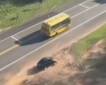 Carro carregado com mais de 200 kg de maconha perde o controle durante persegui&ccedil;&atilde;o policial no Paran&aacute;