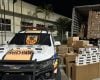 Polícia Militar Rodoviária apreende carga de cigarros contrabandeados avaliada em R$ 1,5 milhão na região Centro-Oeste de Minas Gerais