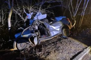 Motorista de 42 anos morre ap&oacute;s colis&atilde;o contra &aacute;rvore na MG-401, em Ja&iacute;ba