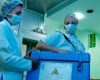 Idosos podem ser doadores vivos de órgãos, desde que atendam a critérios médicos específicos