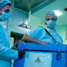 Idosos podem ser doadores vivos de &oacute;rg&atilde;os, desde que atendam a crit&eacute;rios m&eacute;dicos espec&iacute;ficos