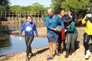 Equipes de resgate salvam botos-do-Araguaia isolados pela seca no rio Urubu, no Tocantins