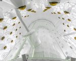 Cientistas anunciam possível primeira evidência de detecção de matéria escura