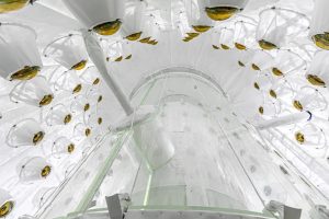 Cientistas anunciam possível primeira evidência de detecção de matéria escura