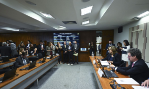 Câmara aprova MP das Blusinhas com isenção para compras internacionais de até US$ 50