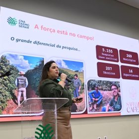 Safra de caf&eacute; em Minas Gerais deve alcan&ccedil;ar 33,4 milh&otilde;es de sacas em 2026&nbsp;