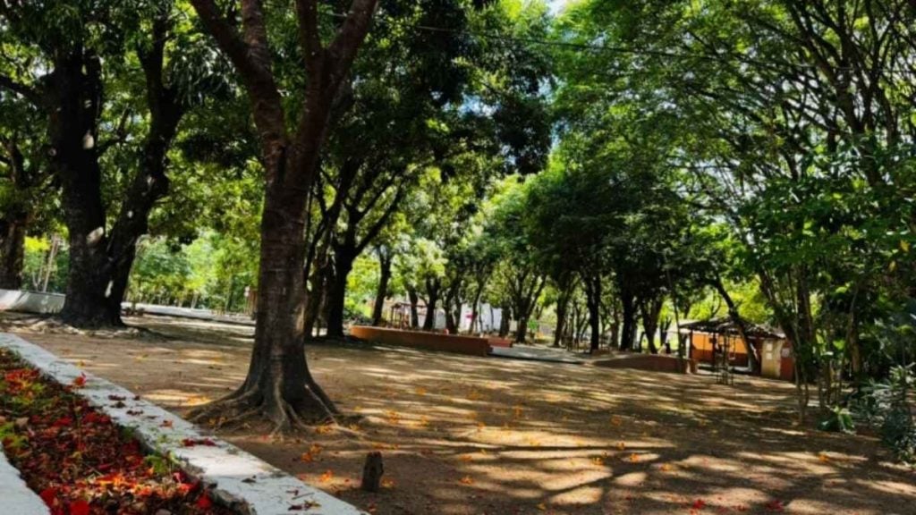Mulher trope&ccedil;a e bate a cabe&ccedil;a no Parque da Ilha, em Divin&oacute;polis