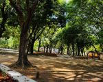 Mulher trope&ccedil;a e bate a cabe&ccedil;a no Parque da Ilha, em Divin&oacute;polis