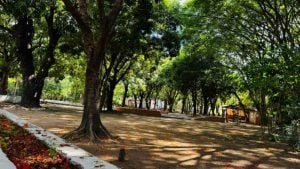 Mulher tropeça e bate a cabeça no Parque da Ilha, em Divinópolis