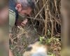 Denúncia sobre animais mortos e aparentemente congelados encontrados em estrada no bairro Nova Fortaleza, em Divinópolis.