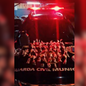 Materiais apreendidos pela Guarda Civil Municipal durante a&ccedil;&atilde;o contra o tr&aacute;fico de drogas no bairro Maria Jos&eacute; do Amaral.