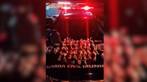 Materiais apreendidos pela Guarda Civil Municipal durante a&ccedil;&atilde;o contra o tr&aacute;fico de drogas no bairro Maria Jos&eacute; do Amaral.
