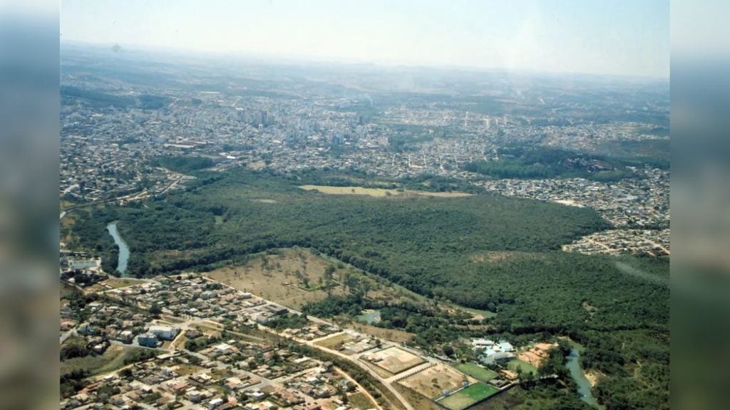 &Aacute;rea de vegeta&ccedil;&atilde;o nativa da Mata do No&eacute;, em Divin&oacute;polis, discutida em reuni&atilde;o do CODEMA.