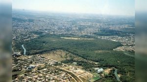 &Aacute;rea de vegeta&ccedil;&atilde;o nativa da Mata do No&eacute;, em Divin&oacute;polis, discutida em reuni&atilde;o do CODEMA.