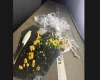 Guarda Municipal apreende drogas no bairro Laranjeiras, em Nova Serrana