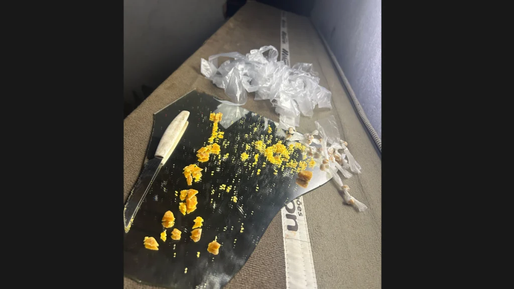 Guarda Municipal apreende drogas no bairro Laranjeiras, em Nova Serrana