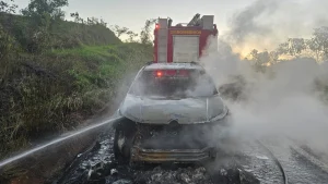 Carro fica destru&iacute;do ap&oacute;s inc&ecirc;ndio na MG-164, em Itapecerica