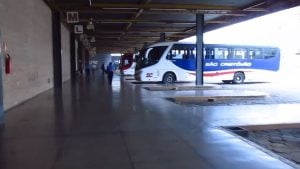 25 linhas intermunicipais no Centro-Oeste serão gratuitas no 2º turno das Eleições