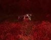 Carro capota e cai em ribanceira de 20 metros na BR-354, em Arcos