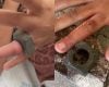 Criança fica com porca presa no dedo e é socorrida pelos bombeiros em Bambuí