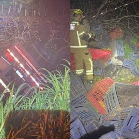 Motorista morre após caminhão com abacate tombar na BR-354, em Formiga