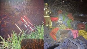 Motorista morre após caminhão com abacate tombar na BR-354, em Formiga