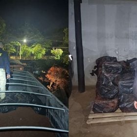 PRF apreende mais de uma tonelada de maconha na BR-262; homem é preso