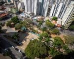 Prefeitura lan&ccedil;a plano de arboriza&ccedil;&atilde;o urbana em Divin&oacute;polis