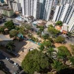 Prefeitura lan&ccedil;a plano de arboriza&ccedil;&atilde;o urbana em Divin&oacute;polis