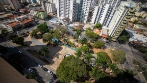 Prefeitura lança plano de arborização urbana em Divinópolis