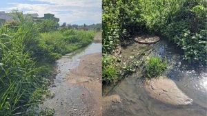 Prefeitura notifica Copasa ap&oacute;s vazamento de esgoto pr&oacute;ximo ao C&oacute;rrego Canavial, em Divin&oacute;polis