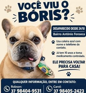 Fam&iacute;lia oferece recompensa por informa&ccedil;&otilde;es de c&atilde;o desaparecido em Divin&oacute;polis