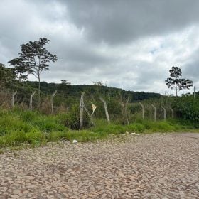 VÍDEO: Moradores denunciam matagal em lote no bairro Copacabana, em Divinópolis