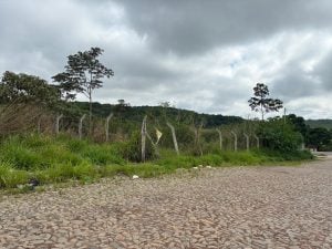 VÍDEO: Moradores denunciam matagal em lote no bairro Copacabana, em Divinópolis
