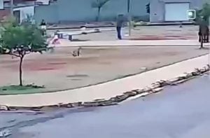 Sargento da Pol&iacute;cia Militar de Minas Gerais dispara contra cachorro em pra&ccedil;a de Una&iacute; e causa revolta na comunidade
