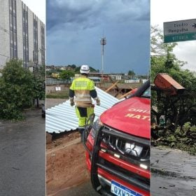 Temporal causa alagamentos, derruba &aacute;rvores e deixa homem desaparecido em Belo Horizonte