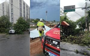 Temporal causa alagamentos, derruba &aacute;rvores e deixa homem desaparecido em Belo Horizonte