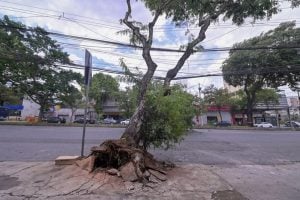 Belo Horizonte registra rajada de 34,6 km/h e tem previs&atilde;o de chuva e novos ventos nesta ter&ccedil;a-feira