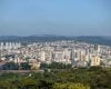 Divin&oacute;polis virou um fen&ocirc;meno na pol&iacute;tica&nbsp;