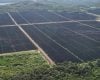 Cemig inaugura usina solar em São Gonçalo do Abaeté nesta sexta-feira