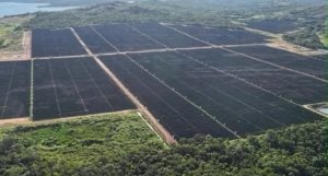 Cemig inaugura usina solar em São Gonçalo do Abaeté nesta sexta-feira